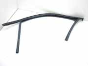 Türgummi links vorne VW T-Roc (A11)