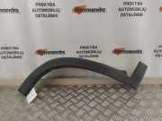 Schutzleiste Kotflügel Fiat Ducato Kasten (244) 1307939070