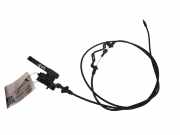 Griff Klappenzug Hyundai Santa Fe II (CM)