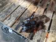 AGR-Kühler MITSUBISHI GRANDIS (NA_W) 2.0 DI-D (NA8W)