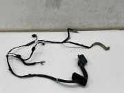 Kabel der vorderen linken Tür NISSAN X-TRAIL IV (T33) 1.5 VC-T Mild Hybrid 24125-6RP5C