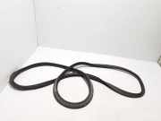 Türdichtung Audi Q5 (FY) 80A827705C