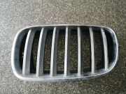 Vorderer oberer Gitter BMW X5 (E70) 3.0 d G0218A3