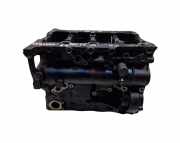 Motorblock VW TIGUAN (5N_) 2.0 TDI 4motion DFG
