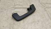 Dachgriff hinten links AUDI A3 Sportback (8YA) 35 TFSI 8Y0857644
