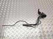 Andere Röhren BMW X6 (F16, F86) xDrive 30 d