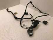 Türverkabelung hinten links HYUNDAI i10 (BA, IA) 1.0 91620K7030
