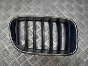 Vorderer oberer Gitter BMW X3 (F25) xDrive 20 d 7210726