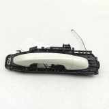 Türaußengriff hinten rechts