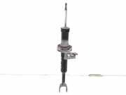 Stoßdämpfer vorne rechts