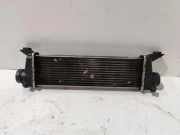 Ladeluftkühler MERCEDES-BENZ A (W168) A 170 CDI (168.008) A1685000000