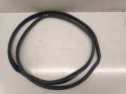 Türdichtung Lexus NX 1 ()