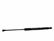 Heckklappe Gasdruckfeder links TOYOTA AVENSIS Estate (_T27_) 2.2 D-4D (ADT271_) 0271120545N 8896005080