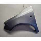 Kotflügel vorne links