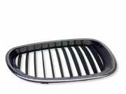 Gitter Grill vorne links BMW 5 Touring (E61) 520 d