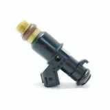 Düsenstöcke Honda Insight (ZE) YD21