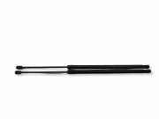 Heckklappe Gasdruckfeder links BMW X3 (F25) xDrive 30 d 51247211289