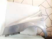 Kotflügel vorne links RENAULT VEL SATIS (BJ0_) 2.2 dCi (BJ0M) 8200018521