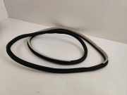 Türgummi rechts vorne Renault Espace V (JR)