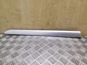 Türpolsterverkleidung hinten links SEAT EXEO ST (3R5) 2.0 TDI 3R0867419B