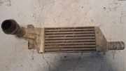 Ladeluftkühler OPEL CORSA D 1.3 CDTI 0039738