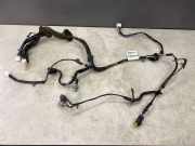 Kabel Tür vorne rechts NISSAN PATHFINDER III (R51) 2.5 dCi 4WD 24125EB302