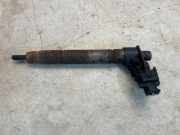 Einspritzdüse CITROËN C5 III (RD_) 2.2 HDi 200 0445115087