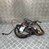 Kabel Tür vorne rechts