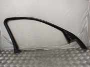 Türverkleidung links vorne BMW X6 (E71, E72) 7179731