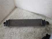 Ladeluftkühler FIAT PUNTO (176_) 1.9 D Multijet 866455500