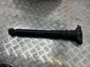Stoßdämpfer hinten links CITROËN C4 III (BA_, BB_, BC_) e-C4 (BCZKXC) 9824423480