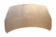 Motorhaube HYUNDAI i20 (PB, PBT) 1.4