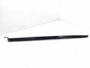 Zierleiste Windschutzscheibe Frontscheibe PEUGEOT 2008 II 1.5 BlueHDI 110 9810112080