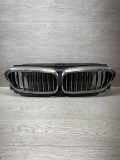 Vorderer oberer Gitter BMW 5 (G30) 520 d 18715610