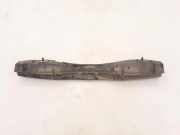 Stoßstangenhalter hinten rechts RENAULT SCÉNIC III (JZ0/1_) 1.5 dCi (JM1E) 850420002R