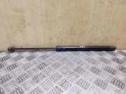 Heckklappe Gasdruckfeder links VW TIGUAN (5N_) 2.0 TDI 4motion 5N0827550