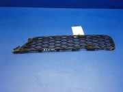 Gitter vorne unten MERCEDES-BENZ R (W251, V251) R 320 CDI 4-matic (251.022, 251.122) A2518850153