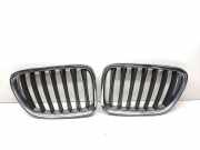 Vorderer oberer Gitter BMW X1 (E84) sDrive 18 d 2993308