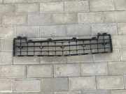 Kühlergrill oben Mercedes-Benz A-Klasse (W169) A1698850124