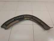 Blende Kotflügel links hinten Fiat Ducato Pritsche (290) 1307241070