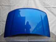 Motorhaube Suzuki Grand Vitara II (JT, TD, TE)