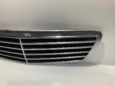 Kühlergrill Mercedes-Benz S-Klasse (W220) A2208800383