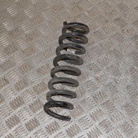 Federblatt links hinten BMW 1er (F20)