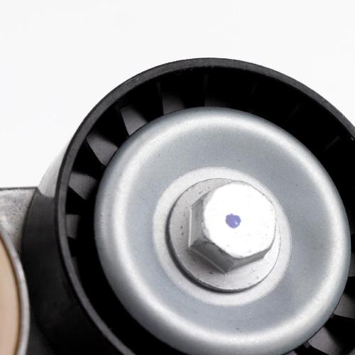 NTN-SNR Flachriemenspannrolle mit Spannarm 55258443 Bild NTN-SNR Flachriemenspannrolle mit Spannarm 55258443