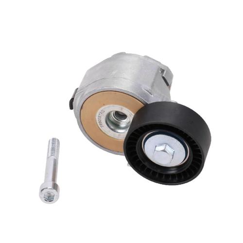 Flachriemenspannrolle mit Spannarm 51773551 Bild Flachriemenspannrolle mit Spannarm 51773551
