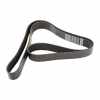 Keilrippenriemen 12PK1925HD Dayco 504382963 Bild Keilrippenriemen 12PK1925HD Dayco 504382963
