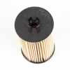 Magneti Marelli Ölfilter Fiat Croma Alfa 159 1,8 16V 103 KW 55594651 Bild Magneti Marelli Ölfilter Fiat Croma Alfa 159 1,8 16V 103 KW 55594651