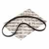 STRETCHY-BELT 4K903 (Klimaanlage) 71802520 Bild STRETCHY-BELT 4K903 (Klimaanlage) 71802520