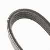 Dayco Stretchy Belt 4KS917 Fiat Marea Stilo 1,6 16 V 71719034 4PK917EE Bild Dayco Stretchy Belt 4KS917 Fiat Marea Stilo 1,6 16 V 71719034 4PK917EE