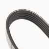 DAYCO Keilrippenriemen 5PK1125 für Fiat 500X Renegade 95006268 Bild DAYCO Keilrippenriemen 5PK1125 für Fiat 500X Renegade 95006268